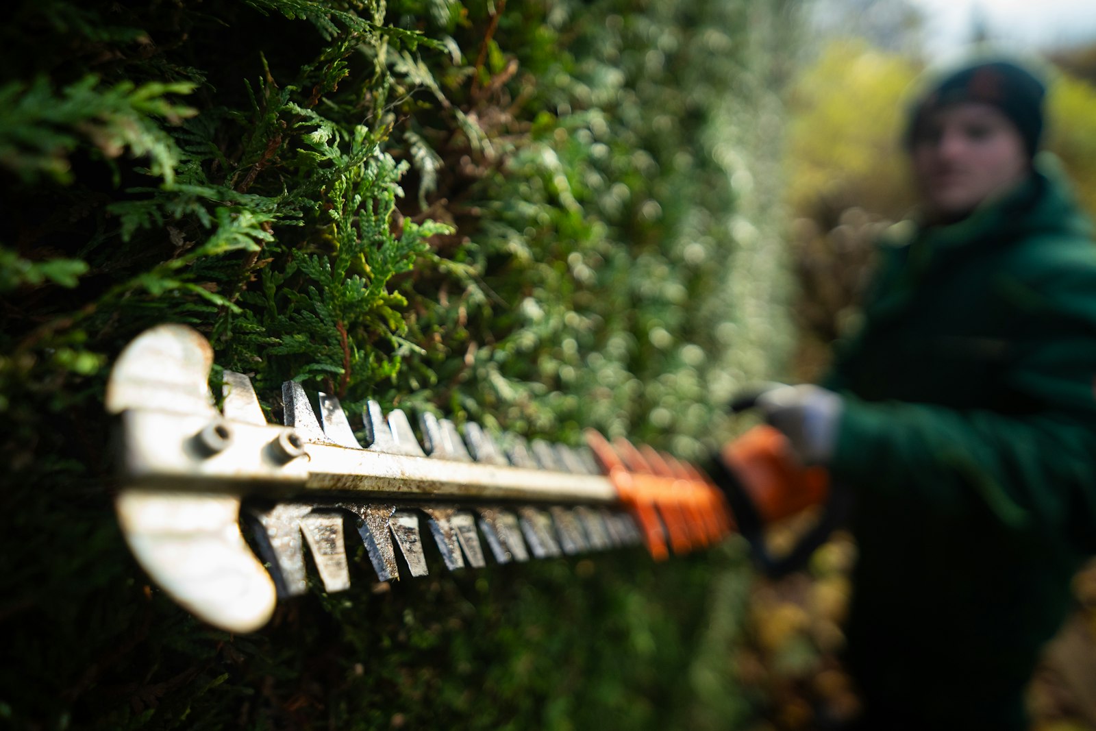 Hedging