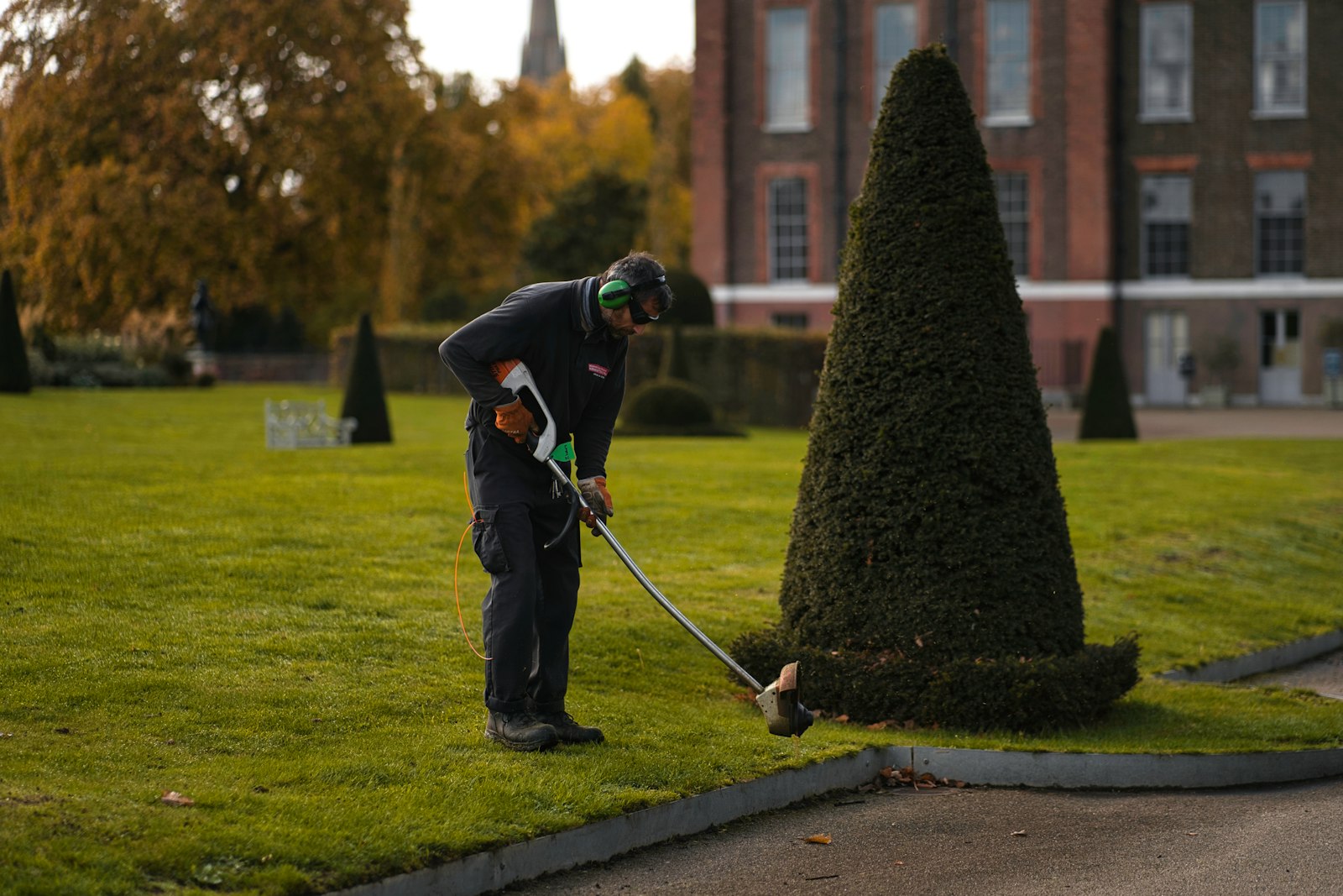 Trimming around feature plants